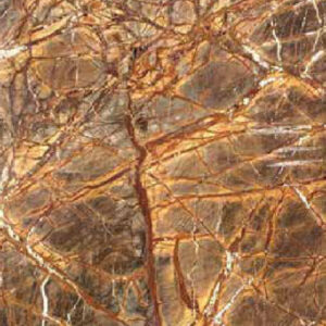 ĐÁ CẨM THẠCH - MARBLE RAINFOREST BROWN